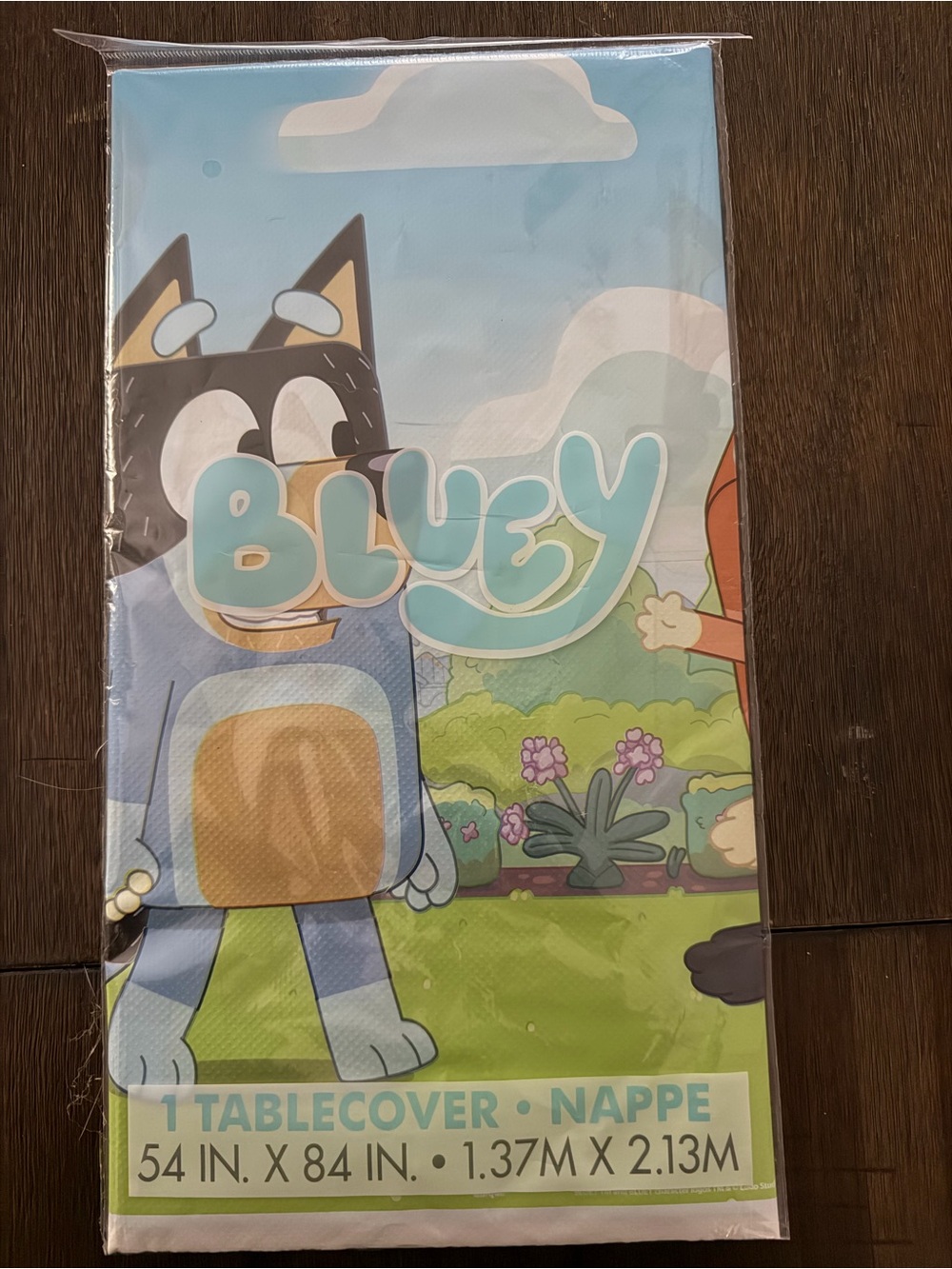 Kids plastic Tablecover - Bluey Character Design
